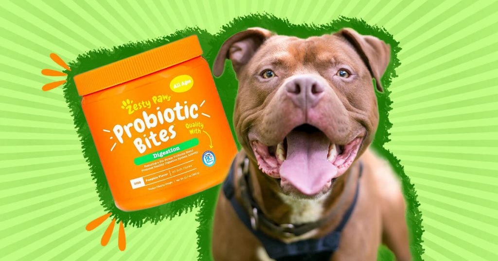 Dog probiotics and prebiotics 
