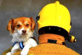 fire safety for pets