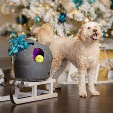 holiday pet gift ideas from a holiday corporate gifts expert