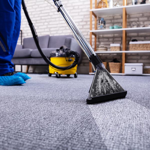 24 hour emergency carpet cleaning